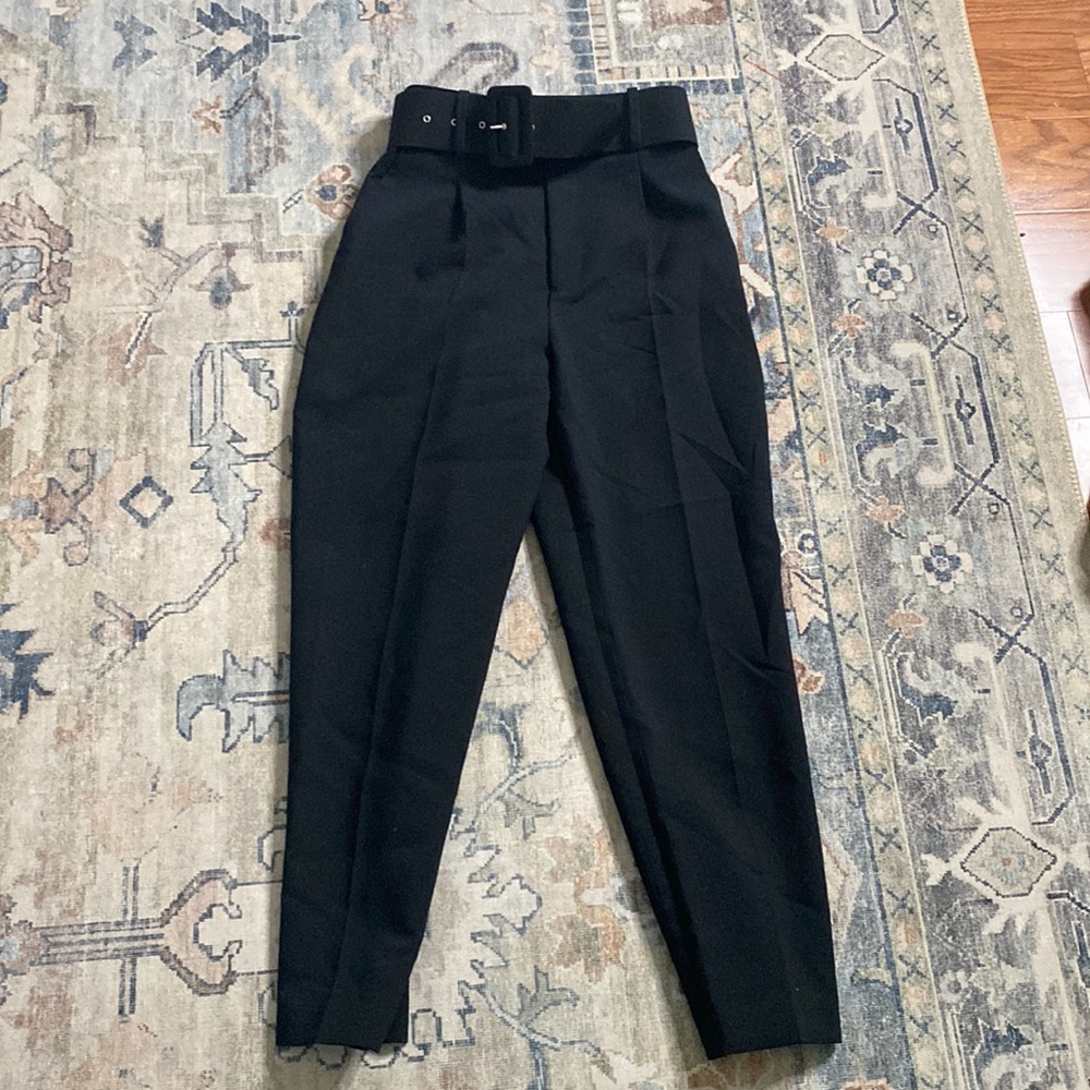 Zara Belter Trousers